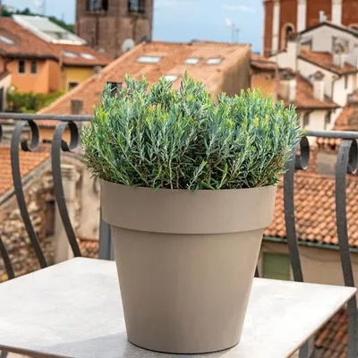 Produktbild von Deroma Blumentopf Taupe 22 cm Rund Kunststoff Frost- & UV-beständig vorgebohrt Innen- & Außenbereich