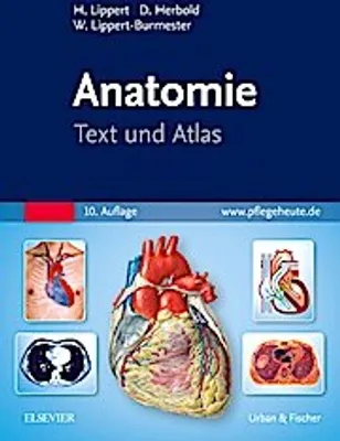 Produktbild von Anatomie