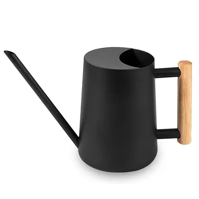 Produktbild von Gießkanne Zimmerpflanzen, 1000ml Metall Edelstahl Gießkanne Kleine Moderne Bewässerung Topf mit langem Auslauf(Schwarz)