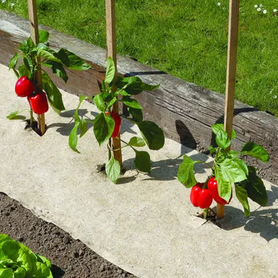 Produktbild von Naturmulch 75 x 500 cm - für Garten und Gemüsebeet 100% biologisch abbaubar - 500 g/m2