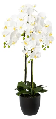 Produktbild von Kunstpflanze Phalaenopsis Höhe: 99 cm weiß
