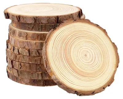 10 runde Holzplatten 10-11 cm, unbehandelt, für Basteln