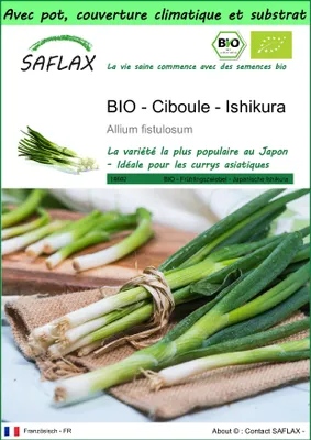 Image de SAFLAX Garden to go -- Ciboule - Ishikura - 150 graines - Allium