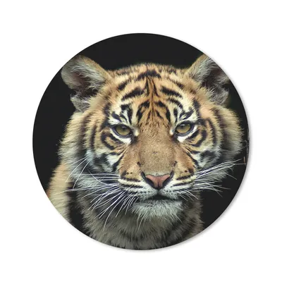 Produktbild von MuchoWow® Mauspad Mousepad Tiger - Schwarz - Jungtier 30x30 cm - Mousepads - Maus Mat - Pad - Mausunterlage - Tischunterlage - Schreibtischmatten