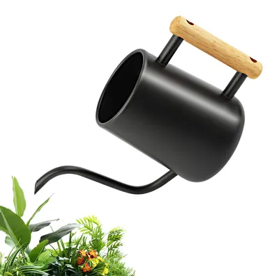 Produktbild von NVIYAM Gießkanne Klein 1L, Giesskanne Zimmerpflanzen mit langem Auslauf und komfortablem Holzgriff, Edelstahl Gieskanne für Topfpflanzen Sukkulenten, Schwarz Gartengießkanne für Drinnen, Watering Can