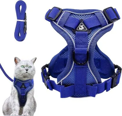Image de Harnais réglable pour chat - Harnais anti-fugue avec laisse pour chats et chatons - Harnais souple pour chiens et chiots (bleu foncé, taille S)