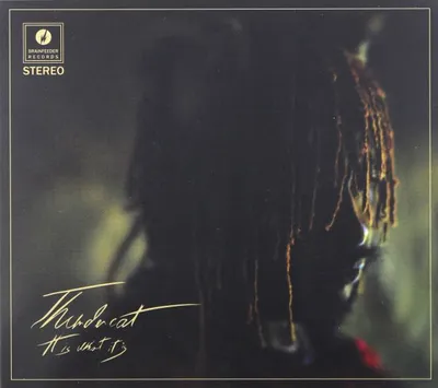 Image de Thundercat : C'est comme ça
