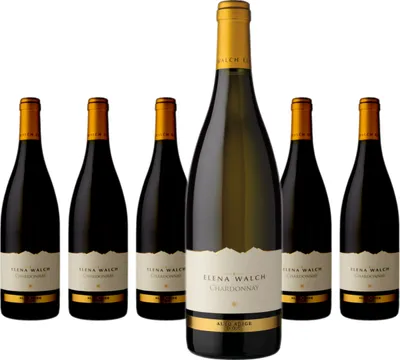 Produktbild von 6 x Elena Walch Chardonnay Alto Adige DOC