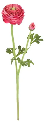 Produktbild von Kunstblume Ranunculus lila Countryfield