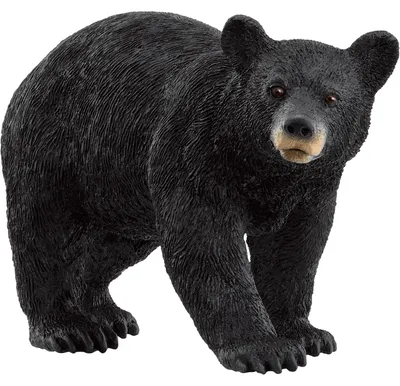 Produktbild von schleich WILD LIFE Amerikanischer Schwarzbär, 3 Jahr(e), Forest, Wild animals / adventure toys, Schwarz, Kunststoff