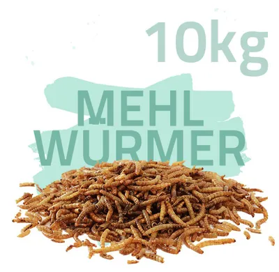 10kg Mehlwürmer getrocknet