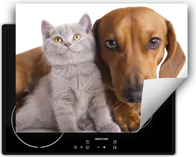 Produktbild von DarHaus Herdabdeckplatte 70x52 cm Anti Rutsch Matte Aufrollbar, Katze und Hund