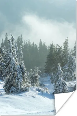 Produktbild von MuchoWow® Poster Wald - Schnee - Winter 40x60 cm - Plakate für die Wand - Poster Babyzimmer