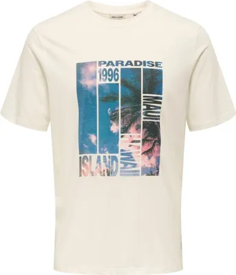 Produktbild von Only & Sons T-Shirt Magdy Life Kurzarmshirt
