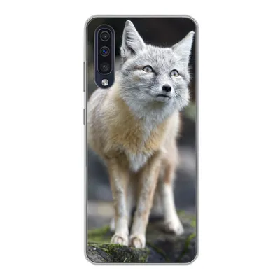 Produktbild von MuchoWow® Handyhülle Schutzhülle Hülle für Samsung Galaxy A30s Fuchs - Makro - Baum Silikon Softcase Handy Hülle - Karteninhaber