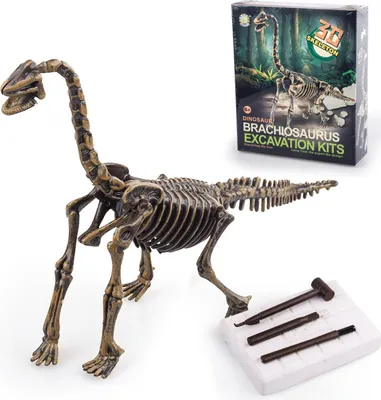 Obrázok produktu pre Sada na vykopávanie dinosaurov - 535g, kostra brachiosaura, sadrový blok - Pre deti, vedecké a vzdelávacie hračky