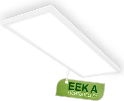 A white LED ceiling light with an energy efficiency label attached.