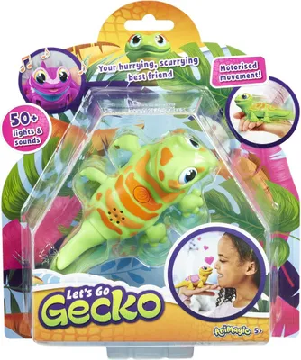 Immagine prodotto di Gecko Animagico