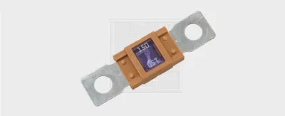 Image de Fusible SWGAutomotive 73131008080 Blister