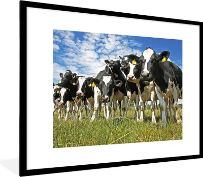 Produktbild von MuchoWow® Gerahmtes Poster Kühe - Gras - Wiese - Tiere 80x60 cm - Poster mit Schwarzem Bilderrahmen Wandposter Rahmen Foto Bilder - Schlafzimmer-Dekorationen - Fotoposter