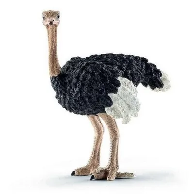 Immagine prodotto di Collecta - Struzzo -L- 88459 (90188459) COLECTA