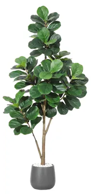 Produktbild von Künstliche Geigenfeige (Ficus Lyrata) 180 cm in Weiß/Schwarz – Täuschend echte Kunstpflanze mit natürlichem Wuchs im Pflanztopf, für Wohnzimmer & Büro