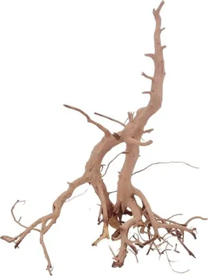 Produktbild von M Siennawurzel Nr.3238 Wurzel Holz Aquarium Deko Aquascaping