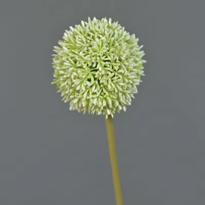Produktbild von artplants.de Künstliche Blume Allium BAILIN, Creme-grün, 65 cm - Künstlicher Blumenzweig