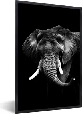 Produktbild von MuchoWow® Gerahmtes Poster Elefant vor schwarzem Hintergrund - schwarz und weiß 40x60 cm - Poster mit Schwarzem Bilderrahmen Wandposter Rahmen Foto Bilder - Papierdruck - Wandbilder