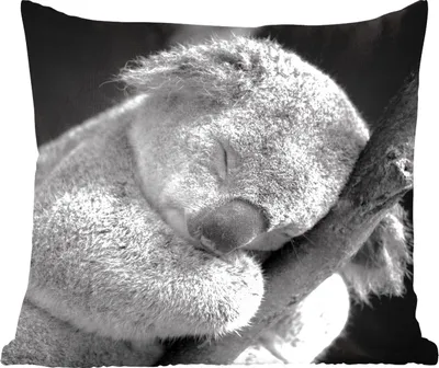 Produktbild von MuchoWow® Zierkissen Sofakissen Wohnzimmer Dekokissen 45x45 cm Schlafender Koala auf schwarzem Hintergrund - Schlafpolster - Polster für das Sofa