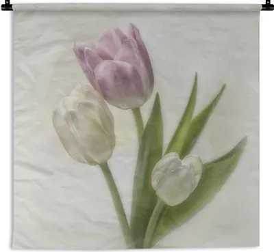 Produktbild von MuchoWow® Wandteppich Wandbehang Rosa und weiße Tulpen auf weißem Hintergrund 150x150 cm Tapisserie Dekoration Wandtuch - Wohnaccessoires - Modernes