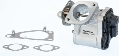 Image de Soupape EGR BORG WARNER 710938D