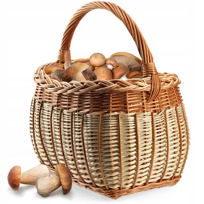 Obrázok produktu pre KADAX prútený košík na huby, oválny košík na nákup, robustný piknikový košík s rukoväťou (Mix, 31x26x41cm)