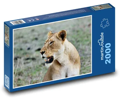 Produktbild von Puzzle 2000 Afrikanische Löwin in der Wildnis - martinpuzzle