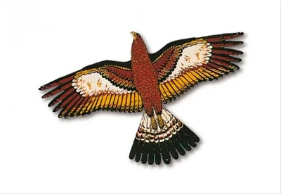 Produktbild von Einleinerdrachen Delta GoldadlerPE 92x62 4+