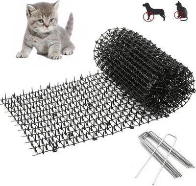 Produktbild von Famanu Katzenabwehrmatte 200 x 30 cm - Hochwertige Gartenmatte