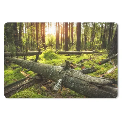 Produktbild von MuchoWow® Mauspad Mousepad Baum - Wald - Moos 27x18 cm - Mousepads - Maus Mat - Pad - Mausunterlage - Büroartikel - Desk Matten