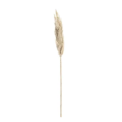 Obrázek produktu pro Větvička pampové trávy 90cm cream