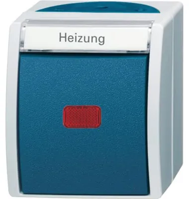 Produktbild von Busch-Jaeger 2601/2 SKWNH-53, 1P, Grün, Grau, 250 V, 10 A, 74 mm, 55 mm
