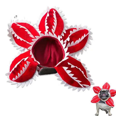 Image de Accessoire pour chien, costume pour Halloween