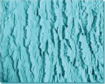Produktbild von Silikonform für Marzipanbaumrinde 18x15cm - Cakesicq