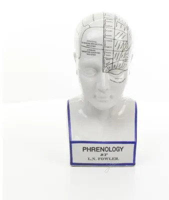 Productafbeelding van A Porcelain Prenology Head