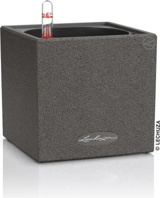 Image de LECHUZA Pot de table CANTO Stone 14 noir graphite | Pot avec système d'arrosage et bac à plantes | Aspect pierre naturelle | 14 x 14 x 13,5 cm | 13472
