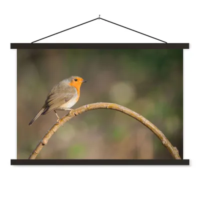 Produktbild von MuchoWow® Textilposter Rotkehlchen - Vogel - Natur 60x40 cm mit schwarzem Rahmen - Hölzernes