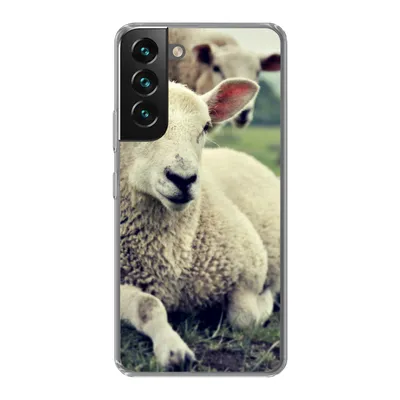 Produktbild von MuchoWow® Handyhülle Schutzhülle Hülle für Samsung Galaxy S22 Schaf - Lamm - Gras Silikon Softcase Handy Hülle - Mobiltelefonhülle