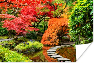 Produktbild von MuchoWow® Poster Bäume - Japanisch - Steine - Weg - Natur 180x120 cm - Fotoplakat