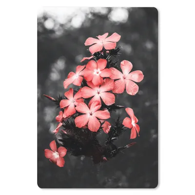 Produktbild von MuchoWow® Mauspad Mousepad Blumen - Rosa - Farbe 18x27 cm - Mousepads - Maus Mat - Pad - Mausunterlage