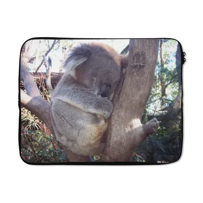 Produktbild von MuchoWow® Laptop Hülle 17 Zoll Laptoptasche Koala - Baum - Grau - Zipper - Schutzabdeckung