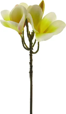 Produktbild von artplants.de Kunstblume Frangipani Zidong, gelb-Creme, 35 cm - Künstliche Stielblume