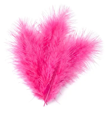 Immagine prodotto di 20 piume decorative fucsia 5,5 cm - taglia unica